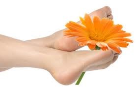 marigold